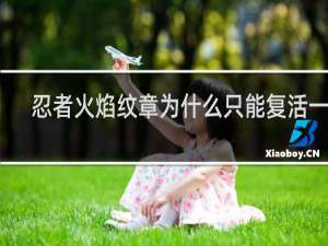 忍者火焰纹章为什么只能复活一次