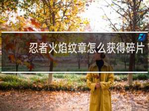 忍者火焰纹章怎么获得碎片