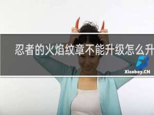 忍者的火焰纹章不能升级怎么升级
