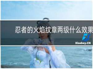 忍者的火焰纹章两级什么效果
