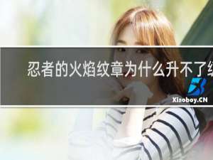 忍者的火焰纹章为什么升不了级