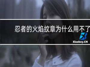 忍者的火焰纹章为什么用不了