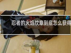忍者的火焰纹章到底怎么获得