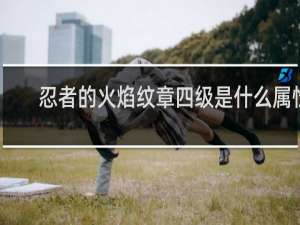 忍者的火焰纹章四级是什么属性