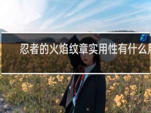 忍者的火焰纹章实用性有什么用