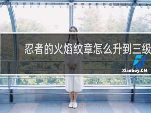 忍者的火焰纹章怎么升到三级