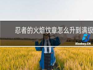 忍者的火焰纹章怎么升到满级