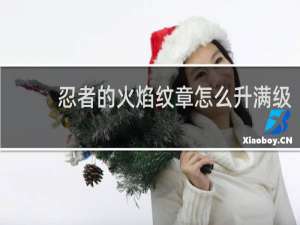 忍者的火焰纹章怎么升满级