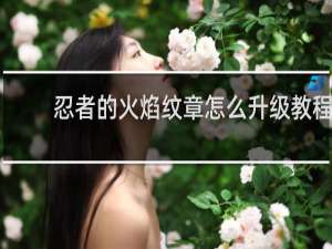 忍者的火焰纹章怎么升级教程