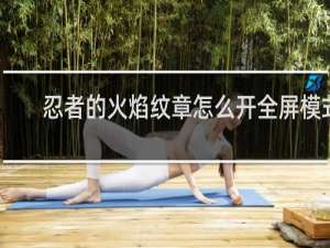 忍者的火焰纹章怎么开全屏模式