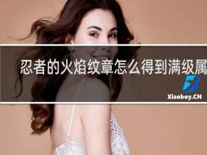 忍者的火焰纹章怎么得到满级属性