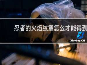 忍者的火焰纹章怎么才能得到