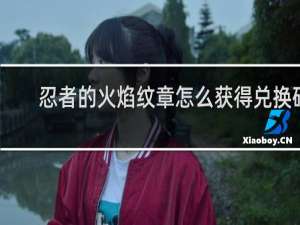 忍者的火焰纹章怎么获得兑换码