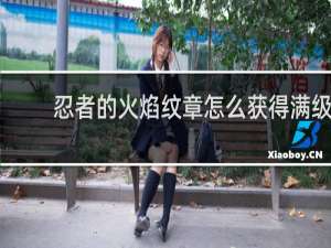 忍者的火焰纹章怎么获得满级