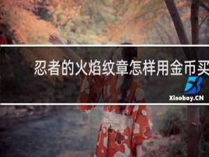 忍者的火焰纹章怎样用金币买