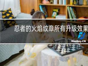 忍者的火焰纹章所有升级效果