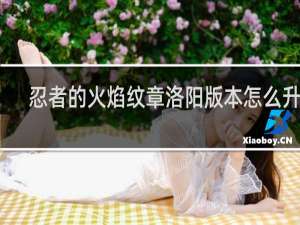 忍者的火焰纹章洛阳版本怎么升级
