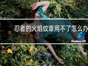 忍者的火焰纹章用不了怎么办