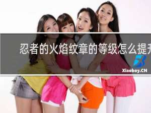 忍者的火焰纹章的等级怎么提升