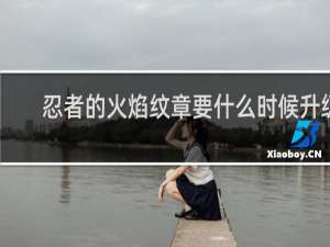 忍者的火焰纹章要什么时候升级