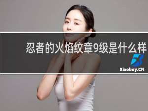 忍者的火焰纹章9级是什么样