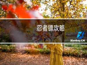 忍者镖攻略