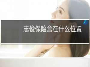 志俊保险盒在什么位置
