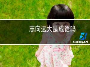 志向远大是成语吗