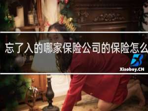 忘了入的哪家保险公司的保险怎么查询