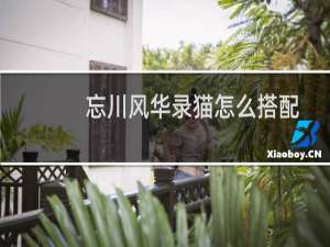 忘川风华录猫怎么搭配 名仕猫搭配攻略