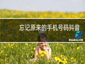 忘记原来的手机号码抖音怎么登录
