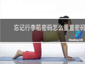 忘记行李箱密码怎么重置密码