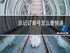 忘记订单号怎么查快递