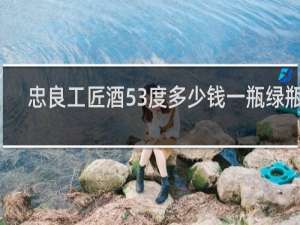 忠良工匠酒53度多少钱一瓶绿瓶的