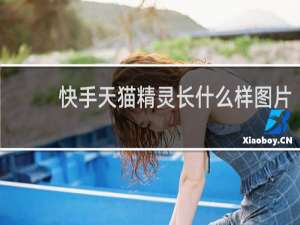快手天猫精灵长什么样图片