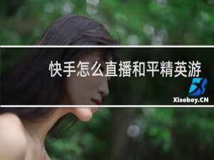 快手怎么直播和平精英游戏(快手直播伴侣直播和平精英为什么没有声音)