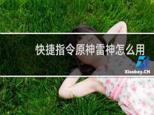 快捷指令原神雷神怎么用