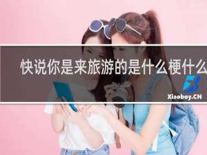 快说你是来旅游的是什么梗什么梗
