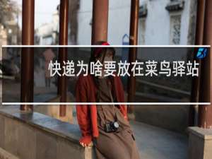 快递为啥要放在菜鸟驿站