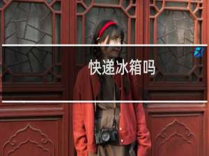 快递冰箱吗