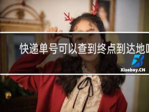 快递单号可以查到终点到达地吗