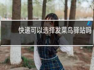 快递可以选择发菜鸟驿站吗