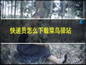 快递员怎么下载菜鸟驿站