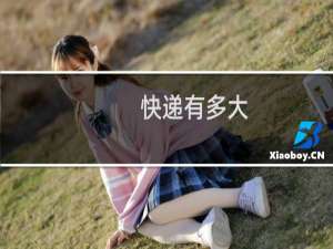 快递有多大