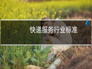 快递服务行业标准