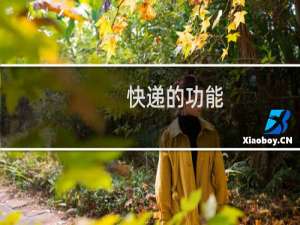 快递的功能