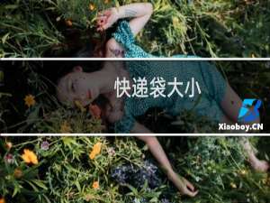 快递袋大小