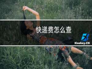 快递费怎么查