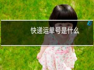 快递运单号是什么