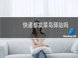 快递都发菜鸟驿站吗